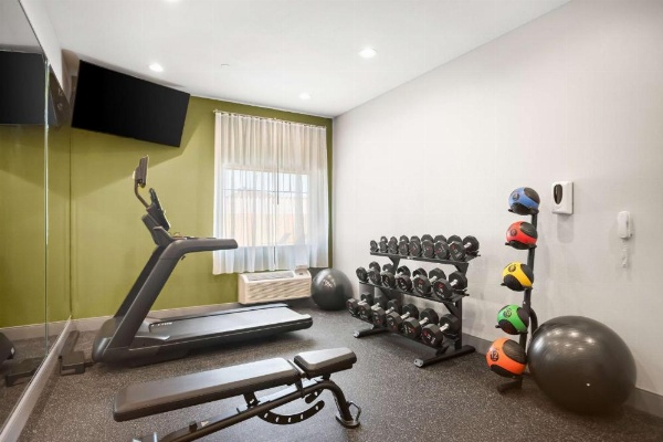 Spark by Hilton Mansfield image 14