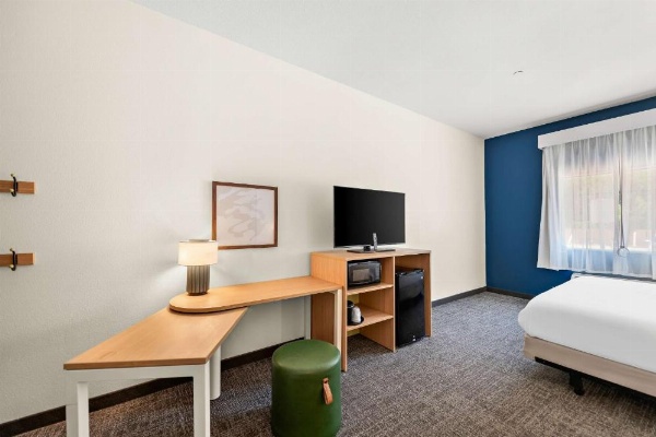 Spark by Hilton Mansfield image 16