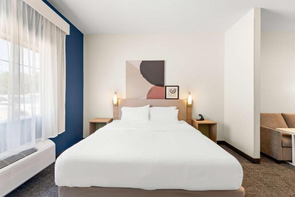 Spark by Hilton Mansfield image 19