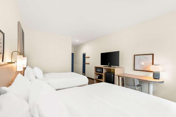 Spark by Hilton Mansfield image 20