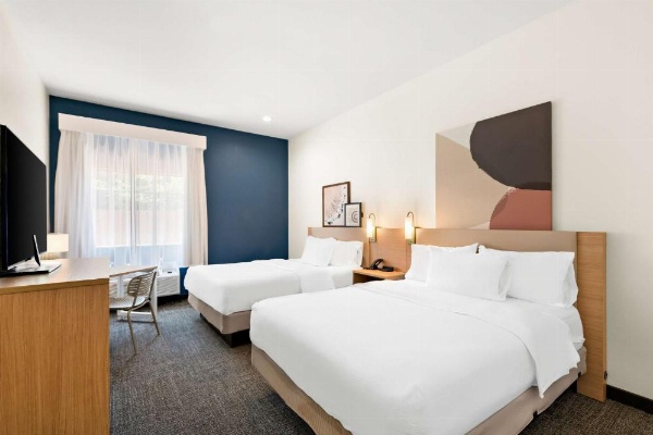 Spark by Hilton Mansfield image 24